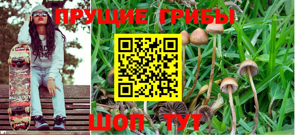Псилоцибиновые грибы мицелий  Галлюциногенные грибы Psilocybe  Вход с VPN  Изобильный 